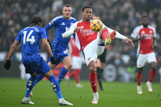 也为本土球 也为本土球